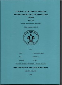Pandangan Ahli Hukum Mengenai Tindakan Bjorka dalam Kasus Ferdy Sambo