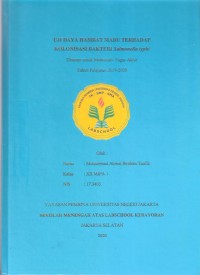 Uji Daya Hambat Madu terhadap Kolonisasi Bakteri Salmonella Typhi