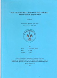 Pengaruh Mikoriza terhadap Pertumbuhan Tomat (Solanum Lycopersicum L)