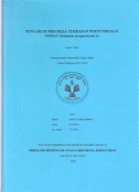 Pengaruh Mikoriza terhadap Pertumbuhan Tomat (Solanum Lycopersicum L)