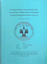 Perbandingan Efektivitas antara Antibiotik Cefixime Paten, Antibiotik Cefixime Generik Berlogo, dan Madu terhadap Bakteri Eschericia coli (E.coli)