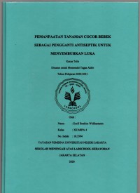 Pemanfaatan Tanaman Cocor Bebek Sebagai Pengganti Antiseptik untuk Menyembuh Luka