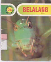 Belalang (24)