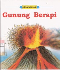 Gunung Berapi