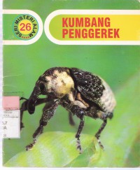 Kumbang Penggerek (26)