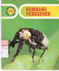 Kumbang Penggerek (26)