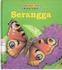 Serangga