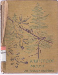 Whitefoot Mouse: All Through the Night